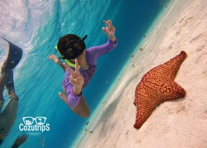 Tropical Oasis Pool Walk To Downtown * Cozumel